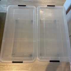 衣類収納ケース 2個セット