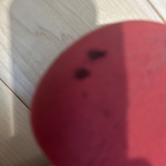 オークリー 25㎝の画像