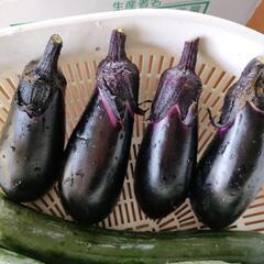 きゅうり6本なす4個の画像