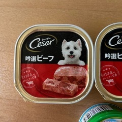 【お取引き中】犬用フードの画像