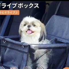 （追加あり）ペット用品　ドライブベッド　おもちゃの画像
