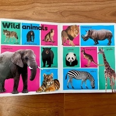 英語の絵本 (English book for kids) ②の画像