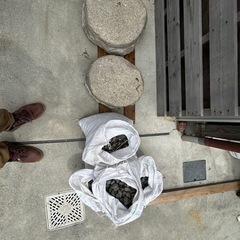 庭の踏石、那智黒石の画像