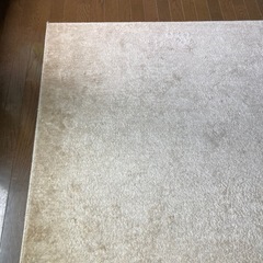 ベージュ色　じゅうたん