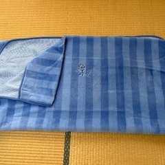 【やや急ぎ】敷き毛布の画像