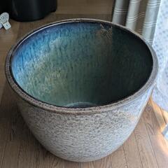 睡蓮鉢　メダカ鉢　ハス鉢　ビオトープ