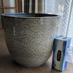 睡蓮鉢　メダカ鉢　ハス鉢　ビオトープの画像