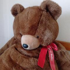 Doll  in  SEIKO  大きなくまのぬいぐるみの画像