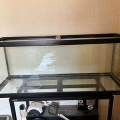 2025年最新】Yahoo!オークション - 90cm～(水槽 魚、水草)の中古
