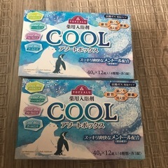 薬用入浴剤2箱(24錠)