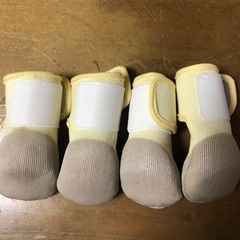 おさんぽshoesの画像
