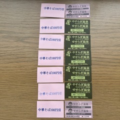 せせらぎ温泉中華そば100円引券14枚の画像