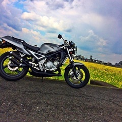 YAMAHA R1-z
