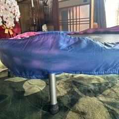 トランポリン
の画像