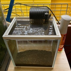 水槽の画像