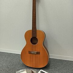 GRECO グレコ エレアコギター GAL-30P