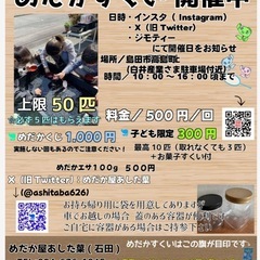 6月29日　めだかすくい&めだかくじ開催
