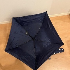 折りたたみ傘（決まりました）の画像