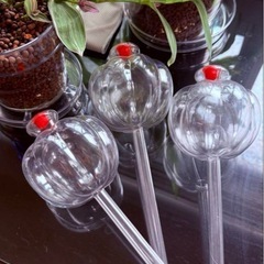 未使用⭐︎観葉植物への自動給水　パンプキン型　3個セット