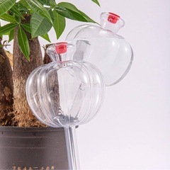 未使用⭐︎観葉植物への自動給水　パンプキン型　3個セットの画像