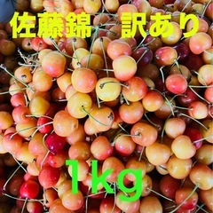 さくらんぼ　佐藤錦　訳あり　1kg 