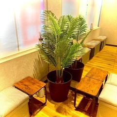 人工観葉植物(鉢付き)
