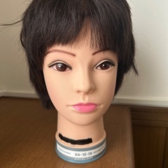 カット済み　カットウイッグ　お化け屋敷　デイスプレイなどに