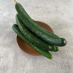 採れたてきゅうり🥒