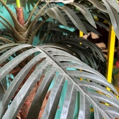 ヤシの木 フェイクの画像