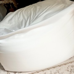 【 無印良品 】 人をだめにするソファー クッション の画像