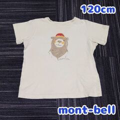 120cm モンベル　クマ　半袖Tシャツ　オーガニックコットン