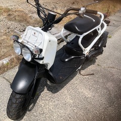 ズーマーキャブ車③