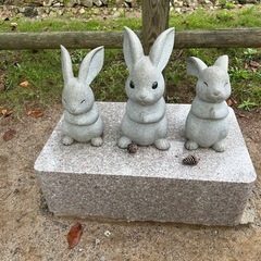 よろしくお願いします🙇🏻‍♀️ - その他