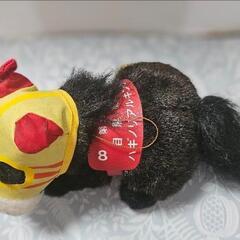 第109回 目黒記念 ハギノリアルキング 競走馬 の画像