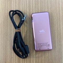 SONY・WALKMAN「NW-S315」
の画像