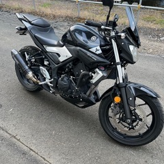 期間限定掲載　値下げ　YAMAHA ヤマハ MT-25の画像