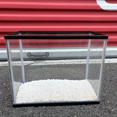 水槽　ガラス水槽　金魚鉢　ベタ　の画像