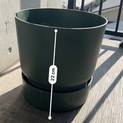 鉢植え②の画像