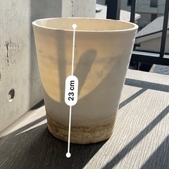 鉢植え①の画像