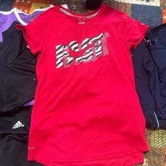 スポーツTシャツの画像