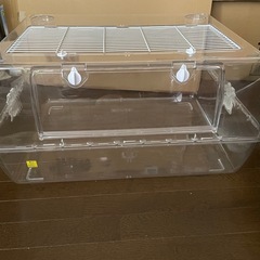 ルーミィ60