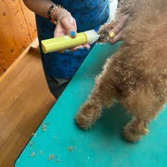 初のママミング✂️の画像