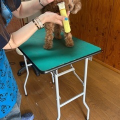 初のママミング✂️の画像
