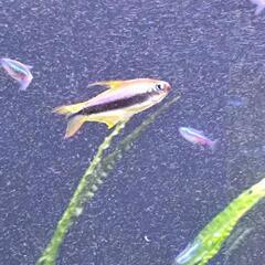 多数のお問い合わせありがとうございました。の画像