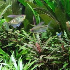 多数のお問い合わせありがとうございました。の画像