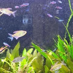 多数のお問い合わせありがとうございました。の画像