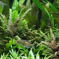 多数のお問い合わせありがとうございました。の画像