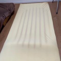 【引渡完了】中古　トゥルースリーパー　シングルの画像