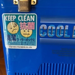 クーラーボックス　紐無し　横35センチX奥行き23センチ、高さ28センチの画像