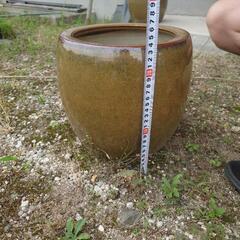 火鉢 水瓶 花器 などにの画像